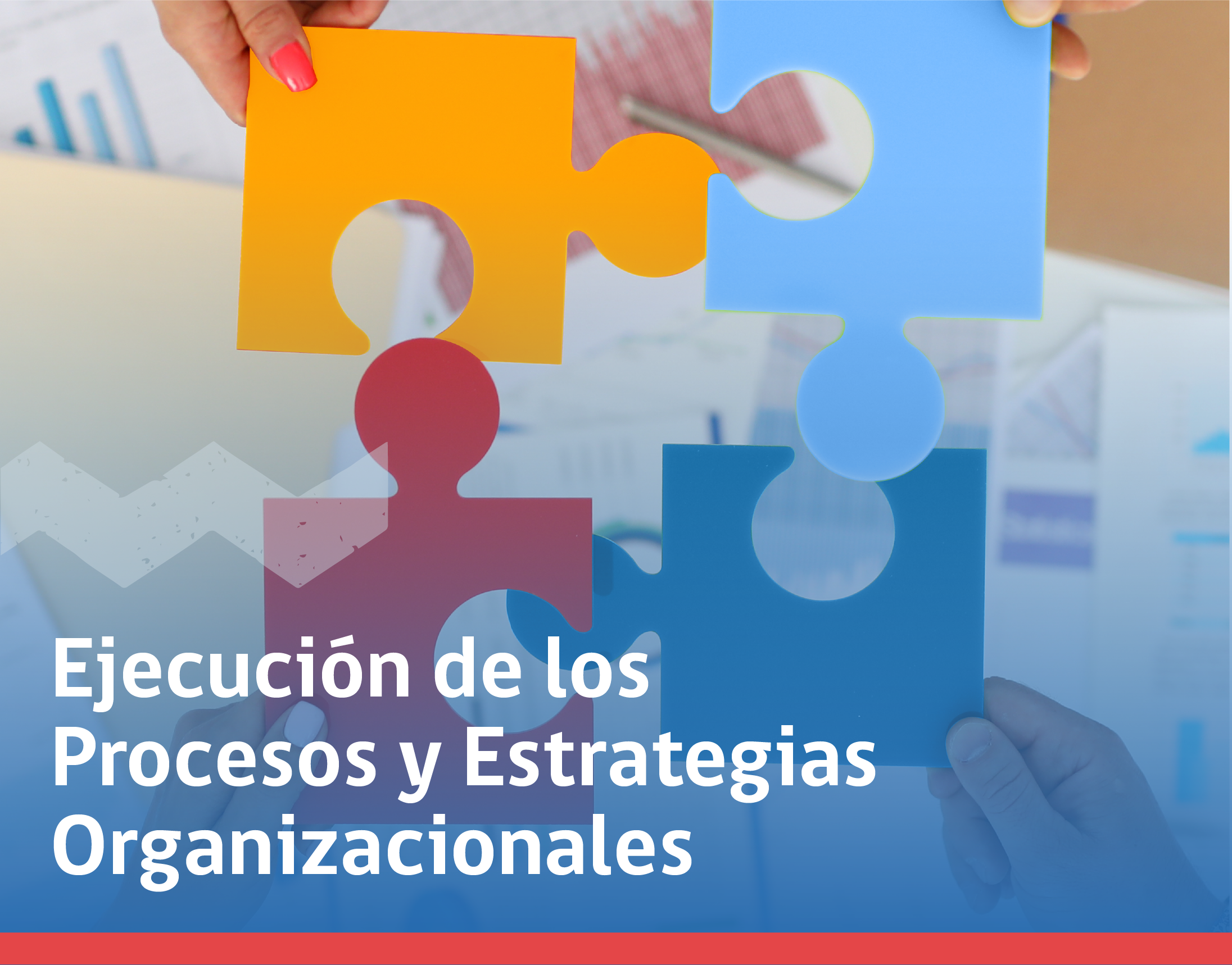 Ejecución de Procesos y Estrategias Organizacionales