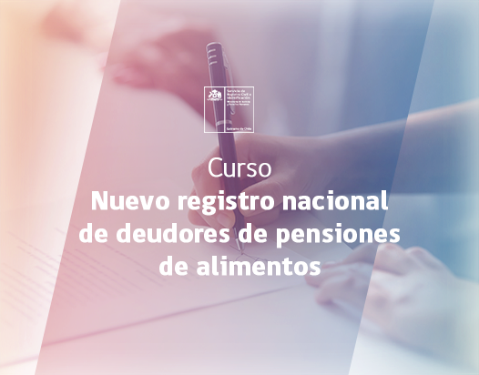 Nuevo Registro Nacional de Deudores de Pensiones de Alimentos