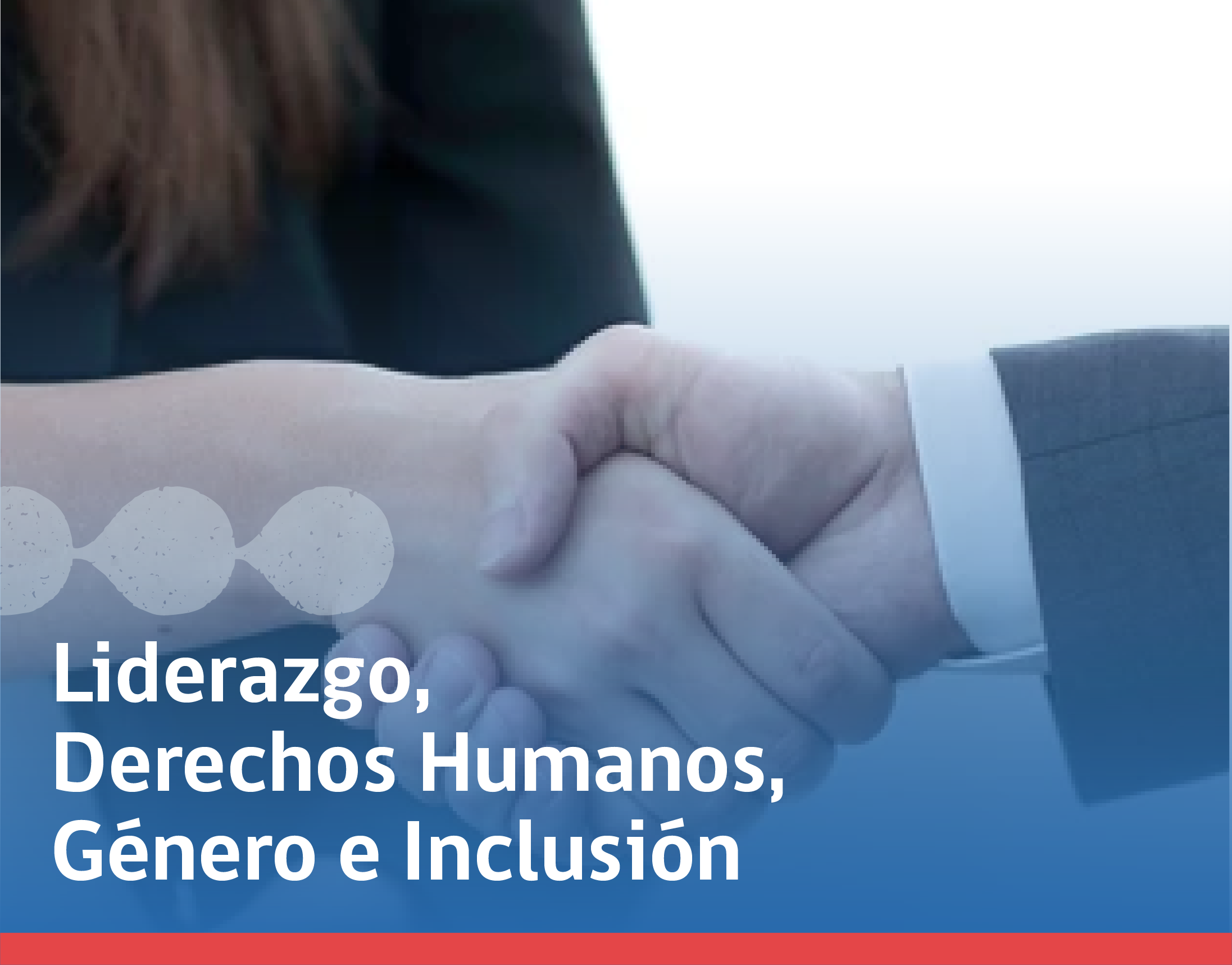 Liderazgo, Derechos Humanos, Género e Inclusión